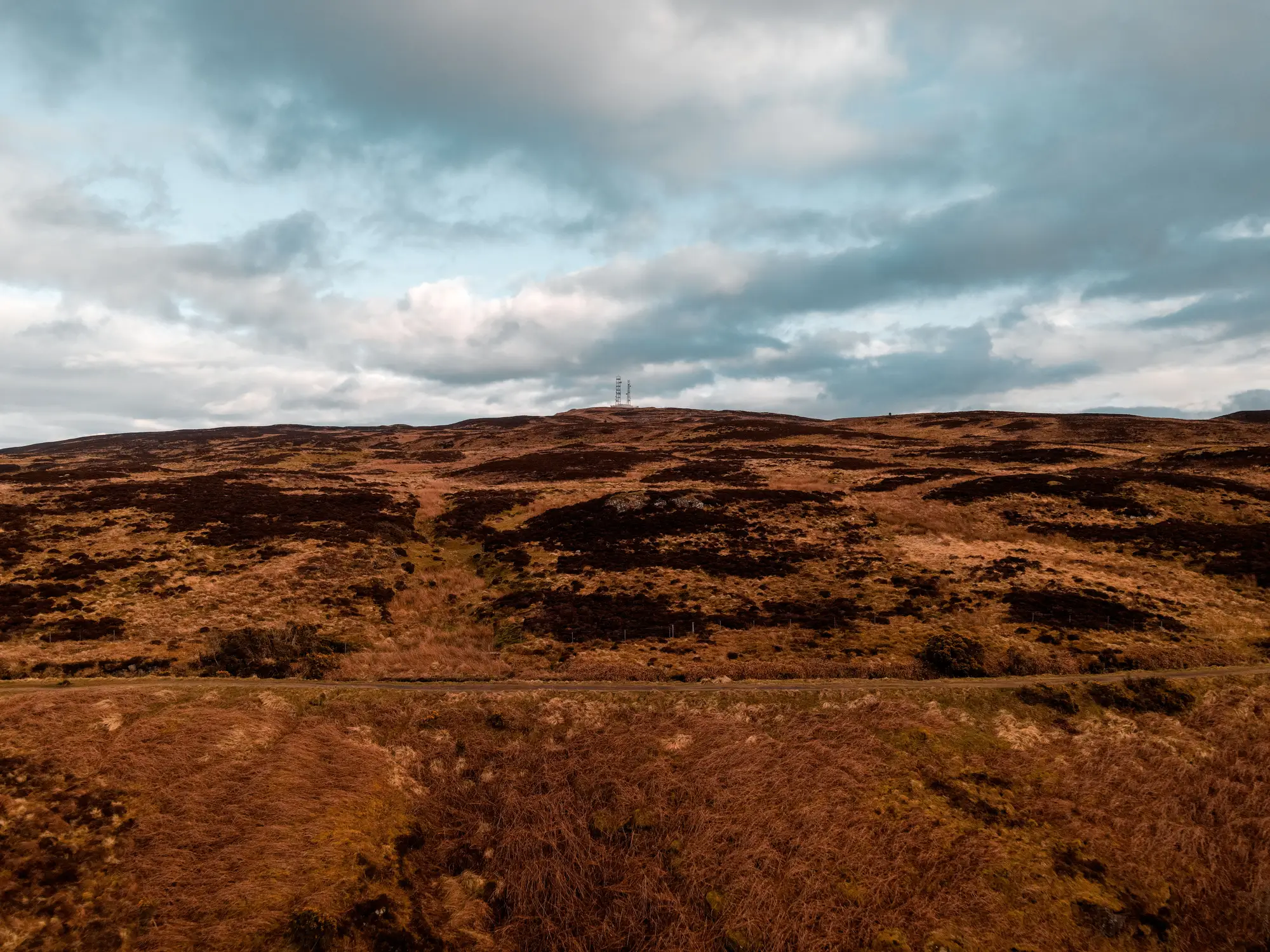 Open brown moorland with dark patches of heather on a low hill under heavy cloud
